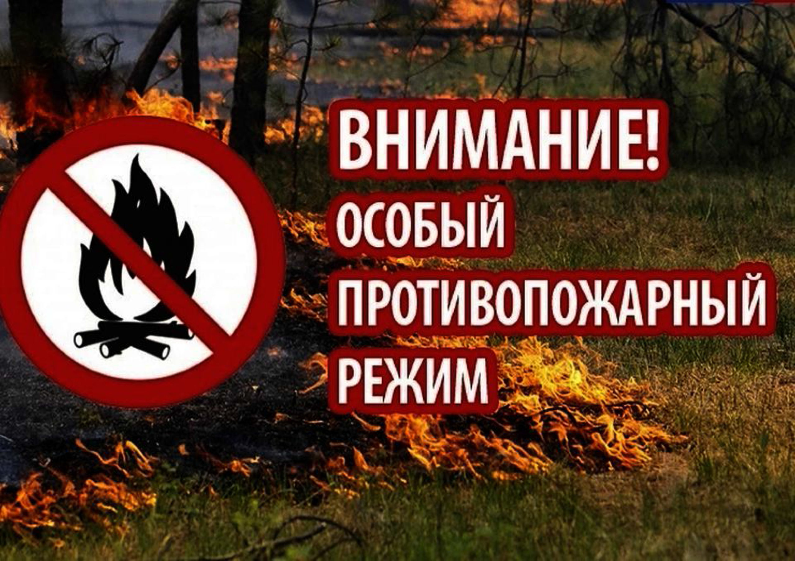 В Омской области введен особый противопожарный режим.